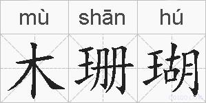 木珊瑚的拼音