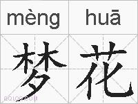 梦花的拼音