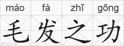 毛发之功的拼音