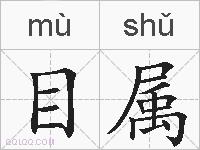 目属的拼音