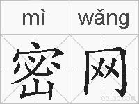 密网的拼音