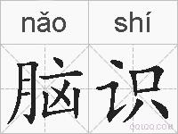 脑识的拼音