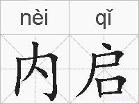 内启的拼音