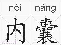内囊的拼音
