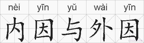 内因与外因是什么意思 拼音读音 词语解释 内因与外因的英文翻译 近义词 反义词 内因与外因的相关成语词语诗词名人明星