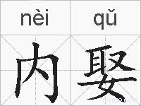 内娶的拼音