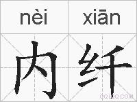内纤的拼音