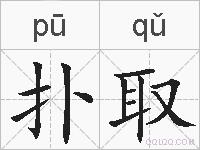 扑取的拼音