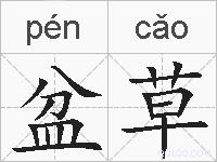 盆草的拼音