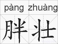 胖壮的拼音