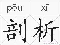 剖析的拼音