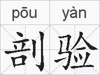 剖验的拼音