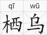 栖乌的拼音