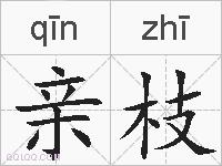 亲枝的拼音
