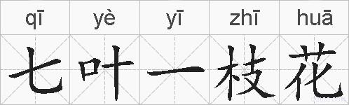 七叶一枝花的拼音