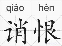 诮恨的拼音
