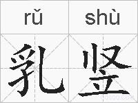 乳竖的拼音