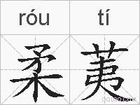 柔荑的拼音