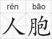 人胞的拼音