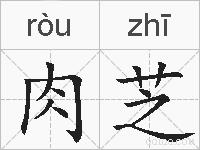 肉芝的拼音