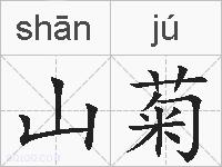 山菊的拼音