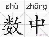 数中的拼音