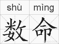 数命的拼音