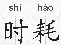 时耗的拼音