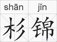 杉锦的拼音