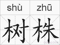 树株的拼音