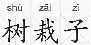 树栽子的拼音