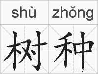 树种的拼音