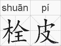 栓皮的拼音