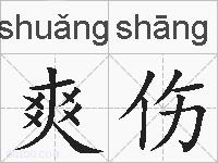 爽伤的拼音
