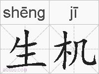 生机的拼音