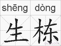 生栋的拼音
