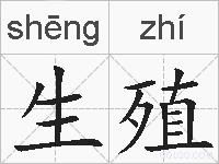 生殖的拼音