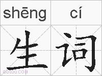 生词的拼音