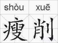 瘦削的拼音