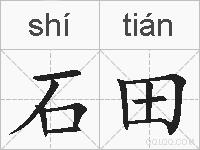石田是什么意思 拼音读音 词语解释 石田的英文翻译 近义词 反义词 石田的相关成语词语诗词名人明星