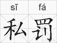 私罚的拼音