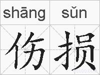 伤损的拼音