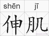 伸肌的拼音