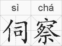 伺察的拼音