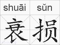 衰损的拼音