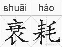 衰耗的拼音