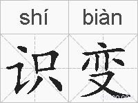 识变的拼音