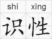 识性的拼音