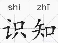 识知的拼音