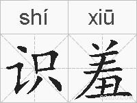 识羞的拼音